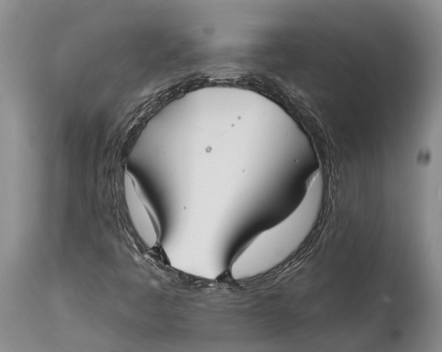X0000115011445200911161549