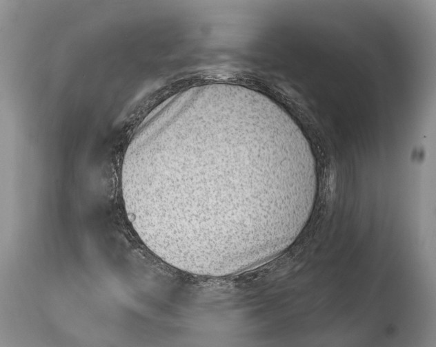 X0000115011446200911161549