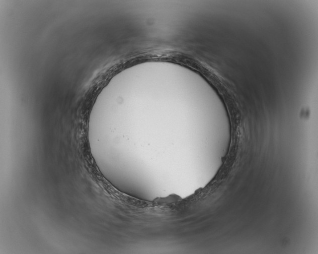 X0000115011447200911161549