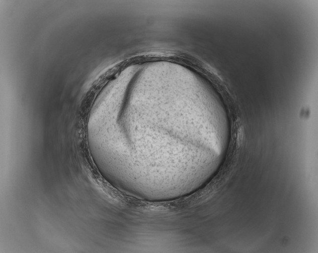 X0000115011448200911161549