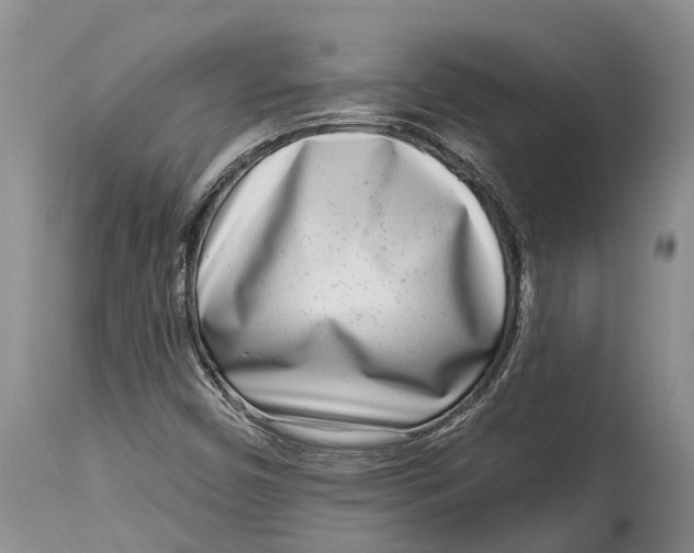 X0000115011450200911161549