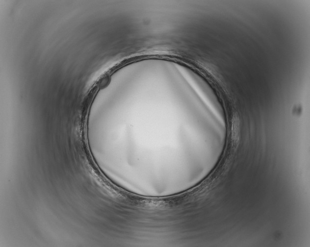 X0000115011452200911161549