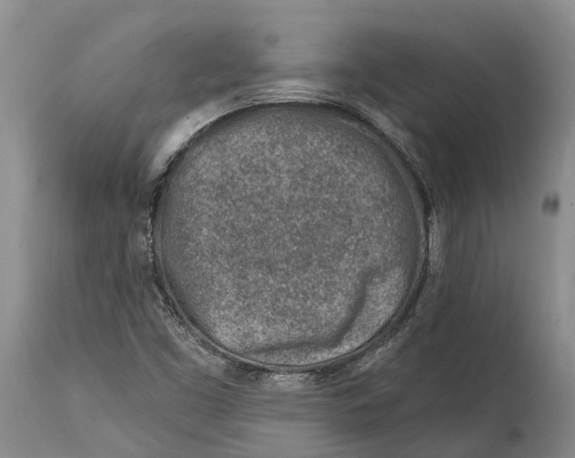 X0000115011453200911161549