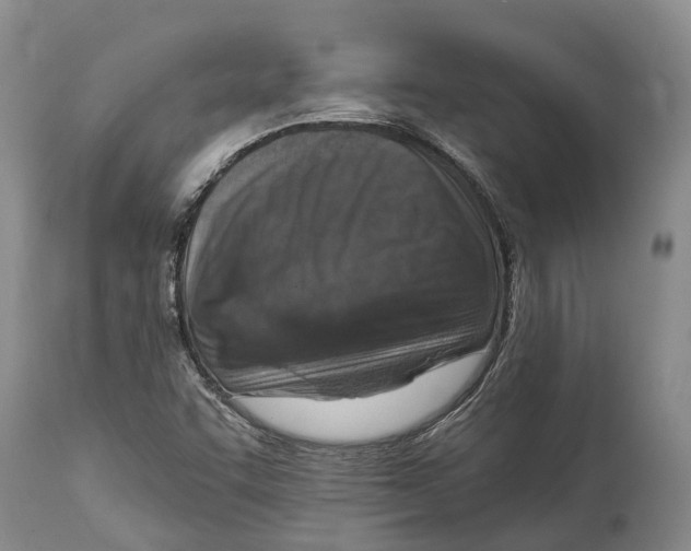 X0000115011455200911161549