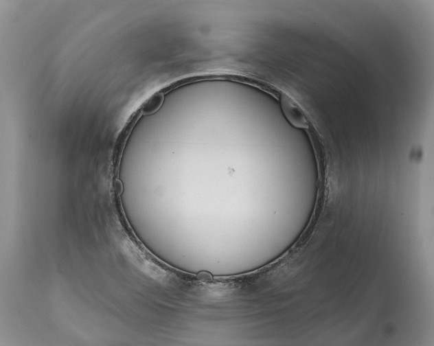 X0000115011460200911161549