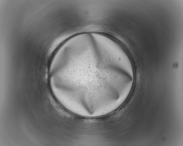 X0000115011461200911161549