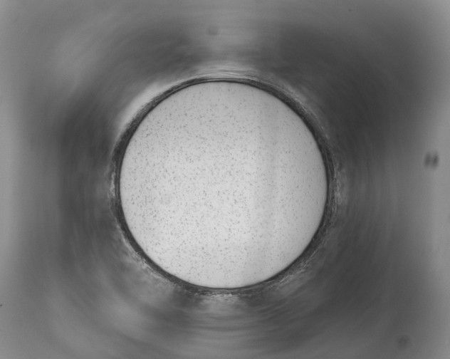X0000115011462200911161549
