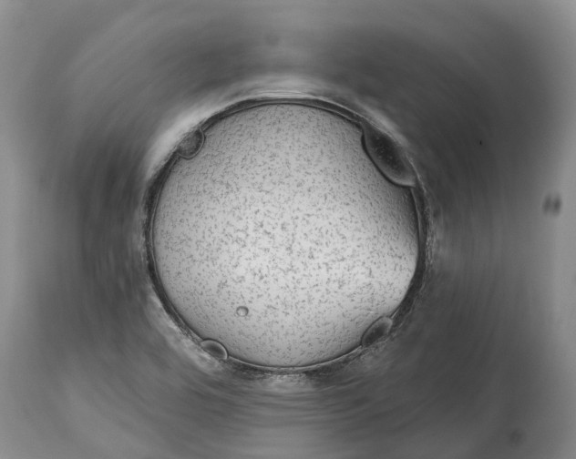 X0000115011464200911161549