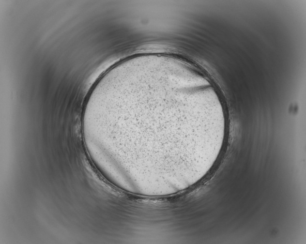 X0000115011465200911161549