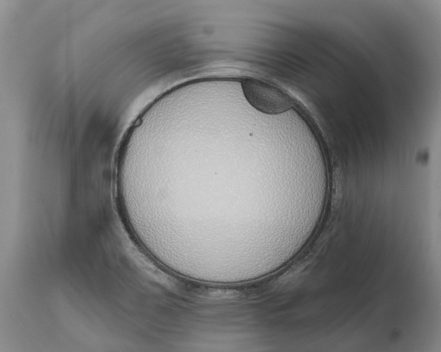 X0000115011467200911161549