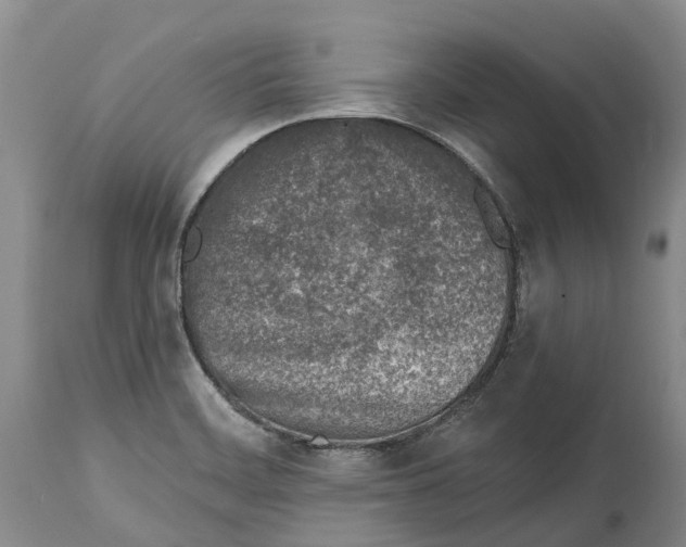 X0000115011468200911161549