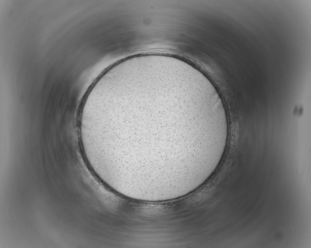 X0000115011470200911161549