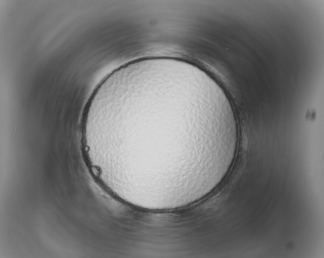 X0000115011471200911161549