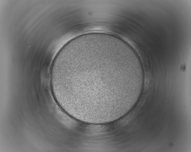 X0000115011474200911161548