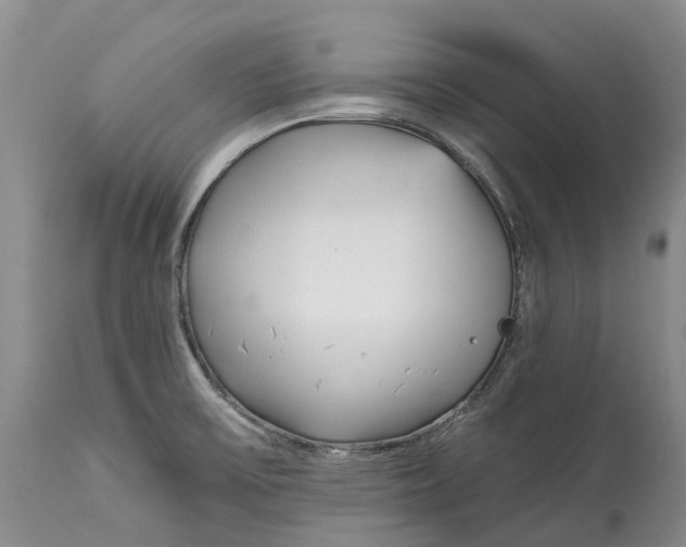 X0000115011475200911161548
