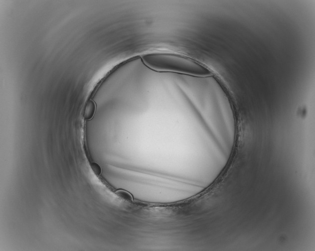 X0000115011476200911161548