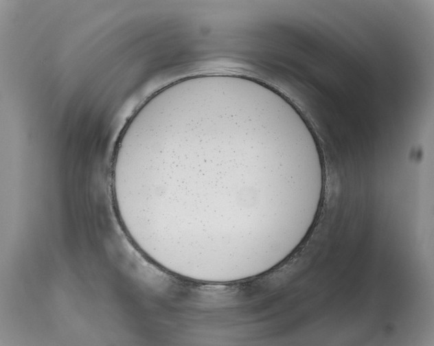 X0000115011478200911161548
