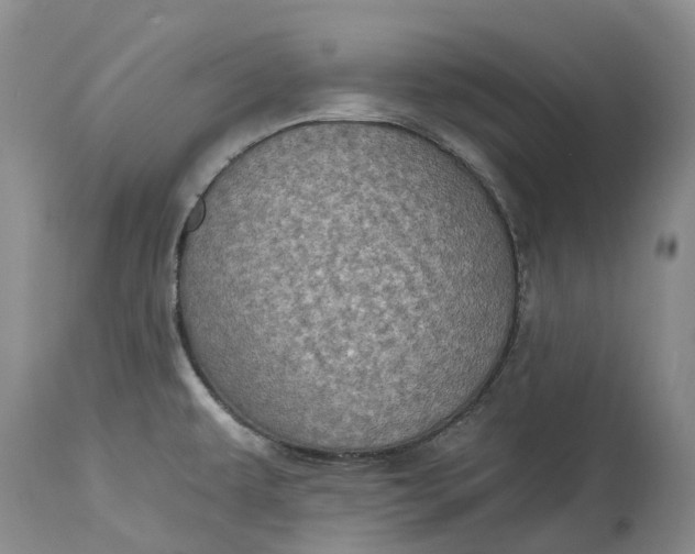 X0000115011479200911161548