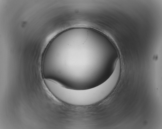 X0000115011480200911161548