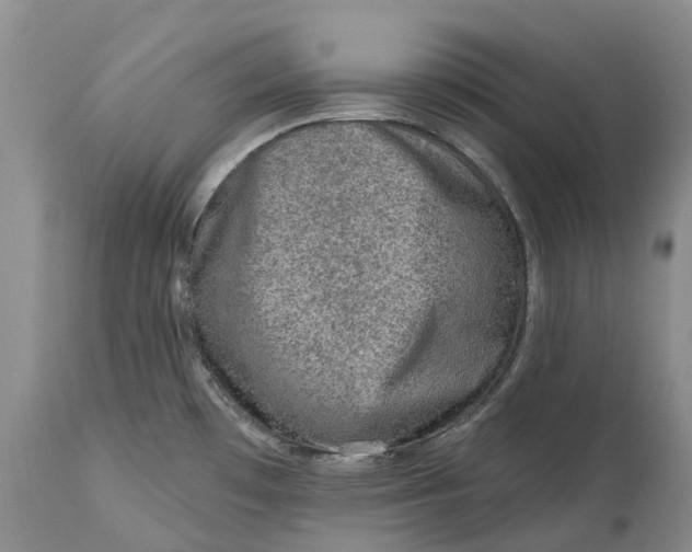 X0000115011481200911161548