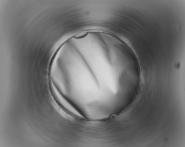X0000115011482200911161548