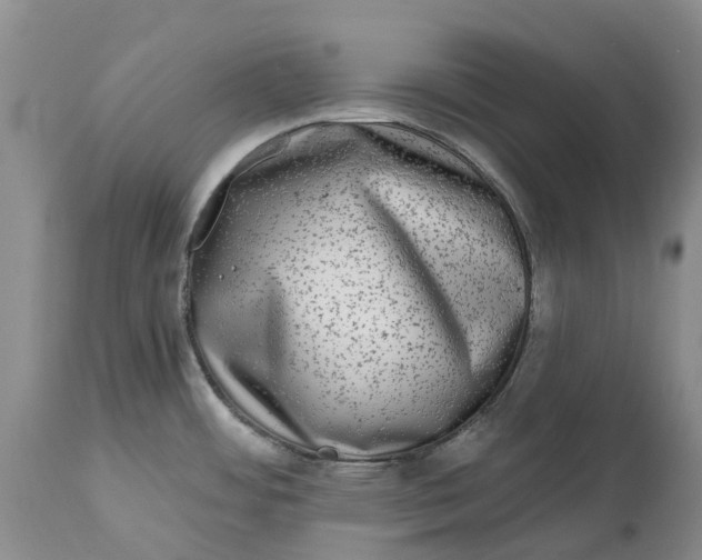 X0000115011484200911161548