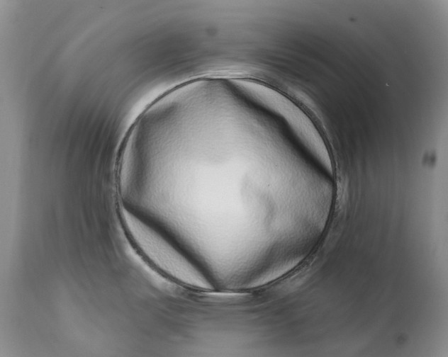 X0000115011487200911161548