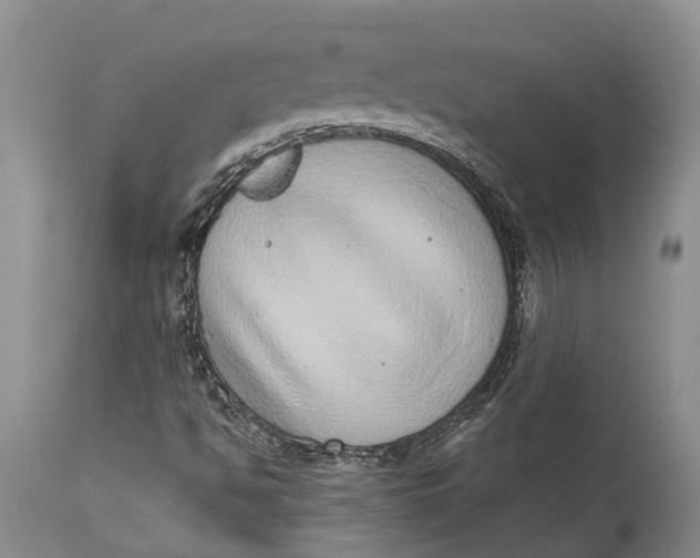 X0000115011494200911161548
