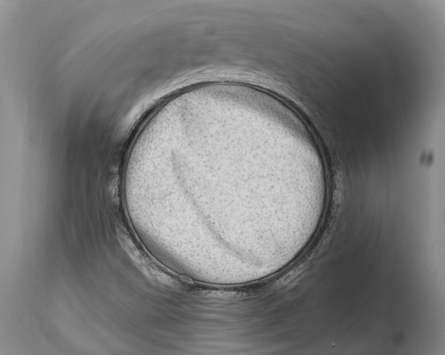 X0000115011499200911161548