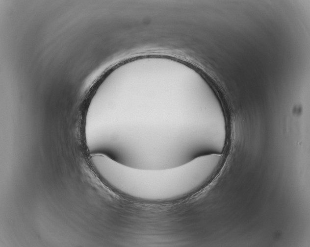 X0000115011502200911161548