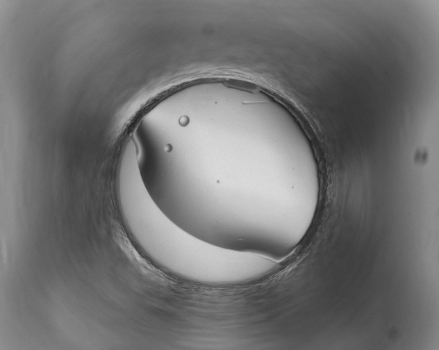 X0000115011503200911161548