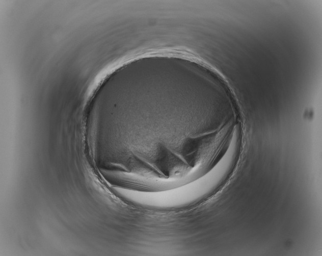 X0000115011506200911161548