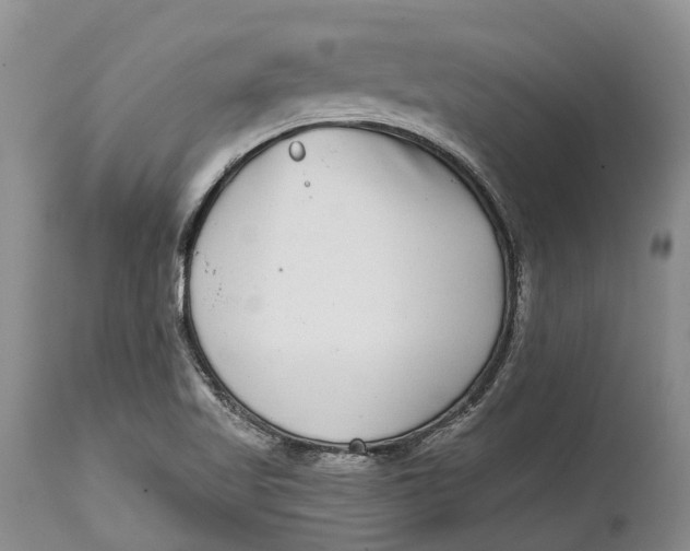 X0000115011509200911161548