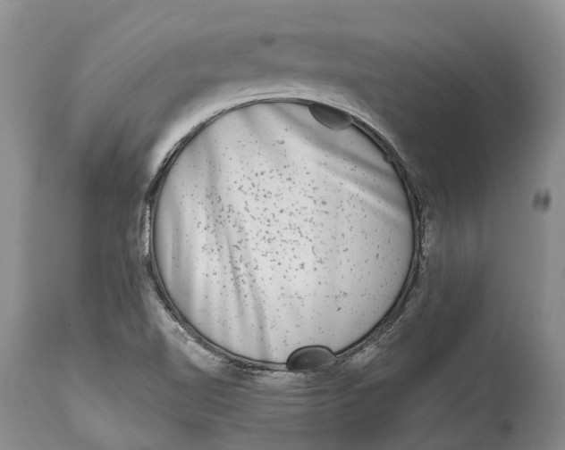 X0000115011510200911161548