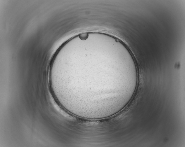 X0000115011515200911161548