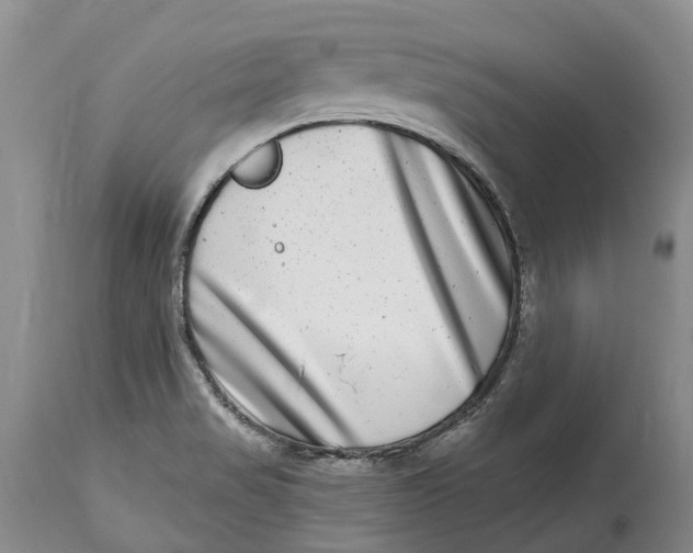 X0000115011517200911161548
