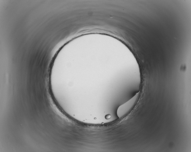 X0000115011518200911161548