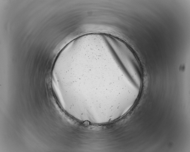 X0000115011521200911161548