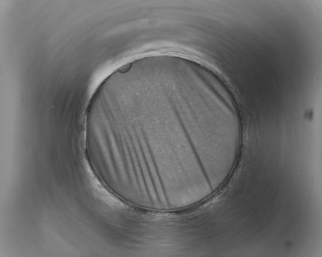 X0000115011522200911161548