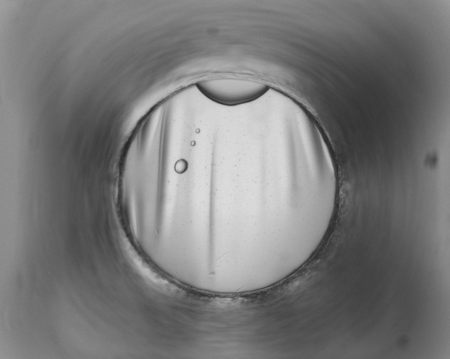 X0000115011523200911161548