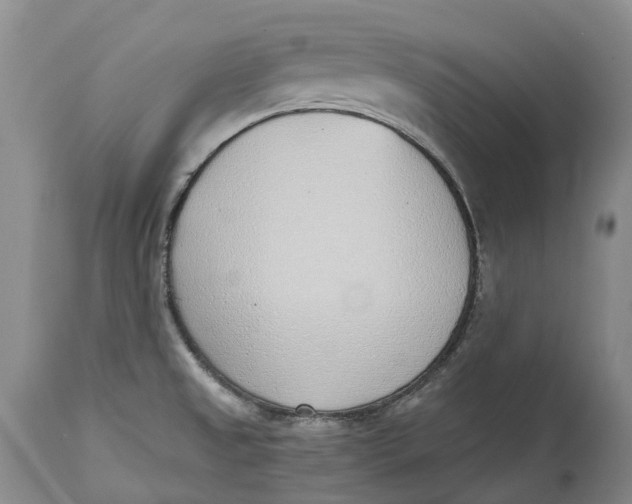 X0000115011525200911161548