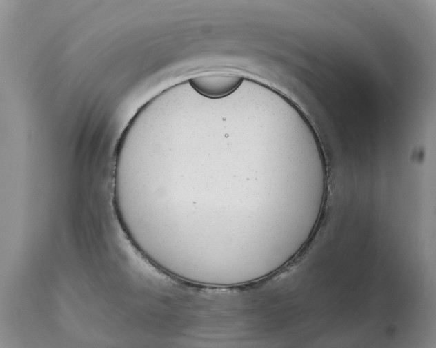 X0000115011526200911161548