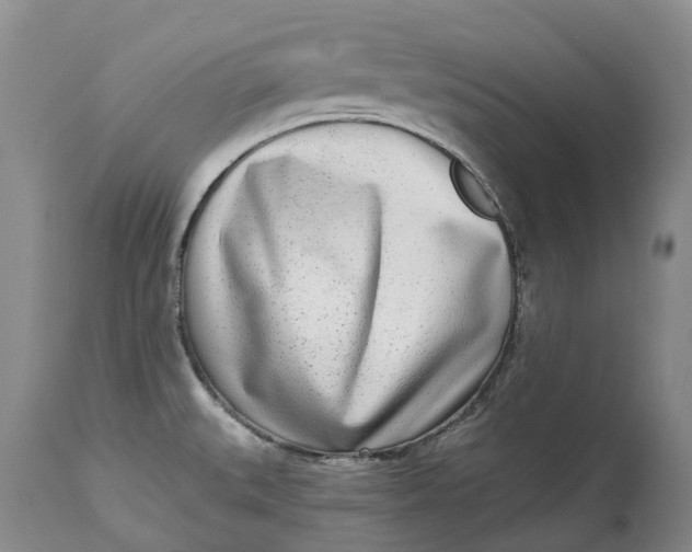 X0000115011527200911161548