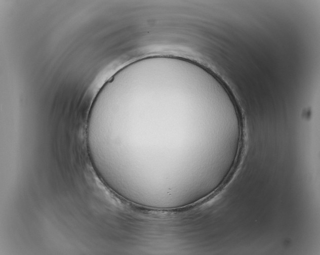X0000115011529200911161548