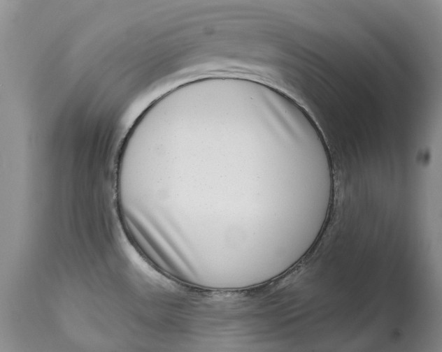 X0000115011531200911161548