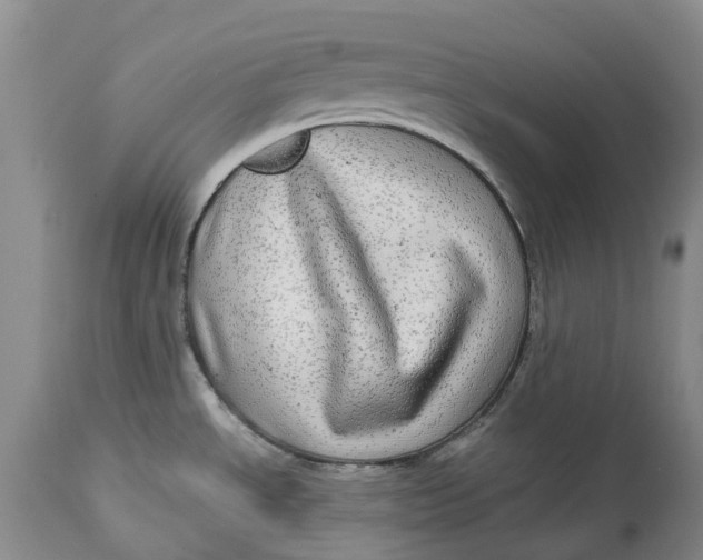 X0000115011534200911161548