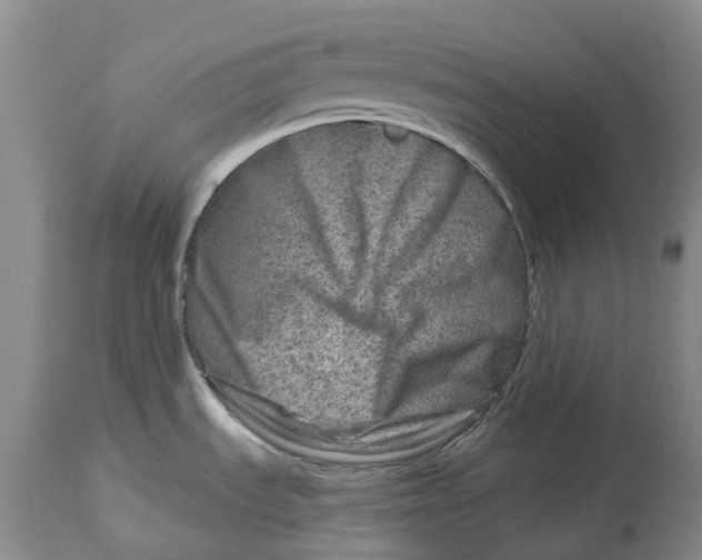 X0000115011535200911161548