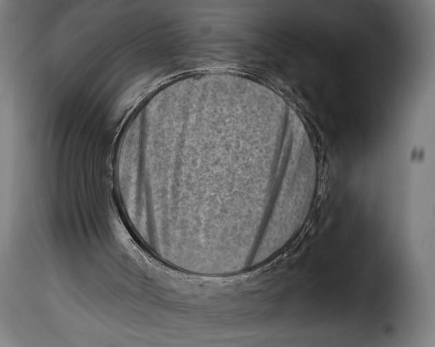 X0000115010002200911231237