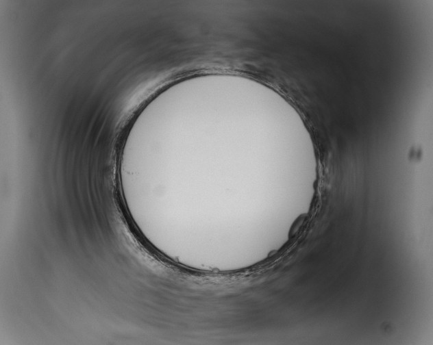X0000115010005200911231237