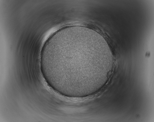 X0000115010006200911231237